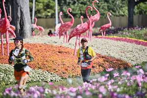 BIB: 
                            <button type="button" onclick="openModal(27793080)" class="btn btn-primary btn-sm float-right btn-popup" data-toggle="modal" data-target=".modal-high-quality">
                        <i class="fas fa-shopping-cart"></i> Add to Cart
                    </button>
                                            <button type="button" onclick="isThisMe(27793080, true)" class="btn btn-success btn-sm float-right btn-popup btn-isme hidden" data-toggle="tooltip" data-placement="bottom" title="นี่คือรูปของคุณใช่ไหม คลิกที่นี่เพื่อเอาเข้าอัลบั้ม">
                        <i class="fas fa-plus"></i> Add to album
                    </button>
                    <button type="button" onclick="isThisMe(27793080, false)" class="btn btn-warning btn-sm float-right btn-popup btn-isnotme hidden">
                        <i class="fas fa-ban"></i> Remove from album
                    </button>